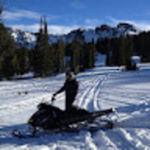 Meet your Posher, Paul